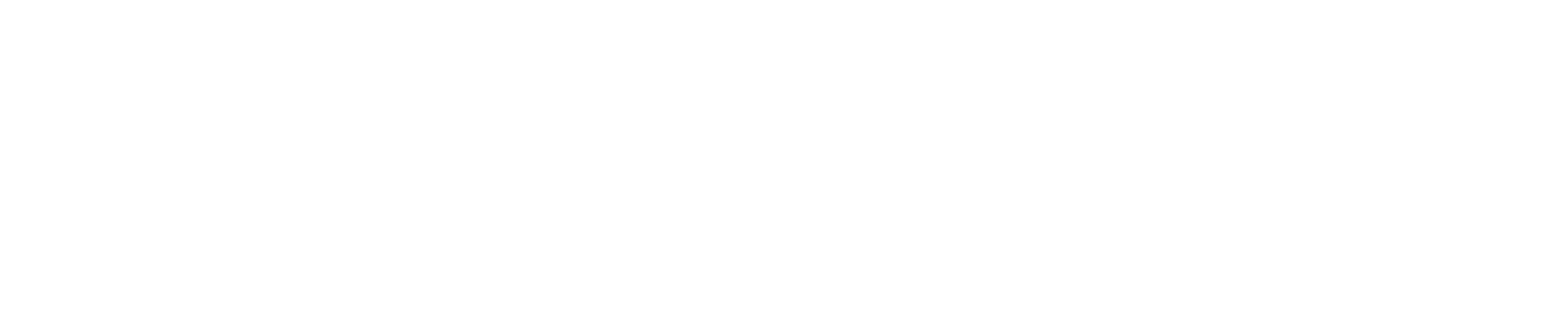 PT. MANDIRI PERKASA EXPRESSINDO
